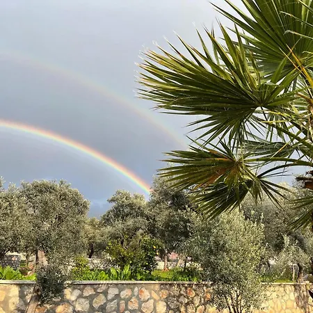 Villa Olive Branch