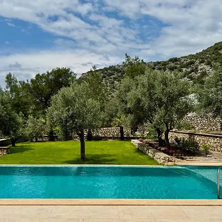 Olive Branch Villa